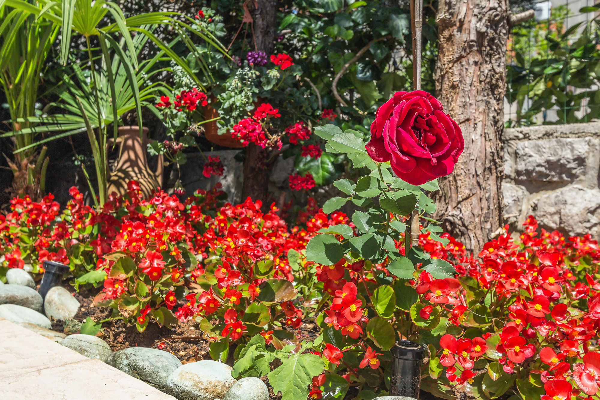 Ičići Villa Roses Apartments & Wellness מראה חיצוני תמונה